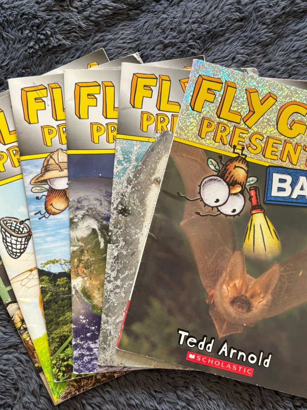 Fly Guy Book Set of 6 Scholastic Early Reader Chapter Books Kids